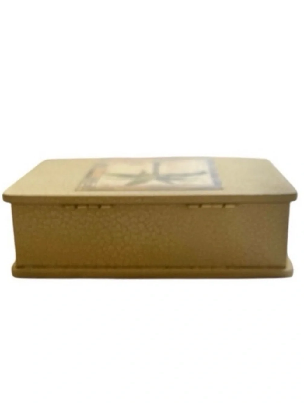 Art in Motion Chad Barrett 36 Palm Tree Note Cards in Decorative Wood Box
